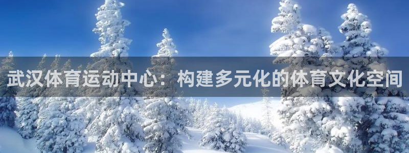 武汉体育运动中心：构建多元化的体育文化空间