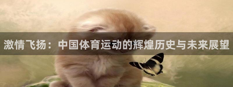激情飞扬：中国体育运动的辉煌历史与未来展望
