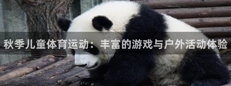 秋季儿童体育运动：丰富的游戏与户外活动体验