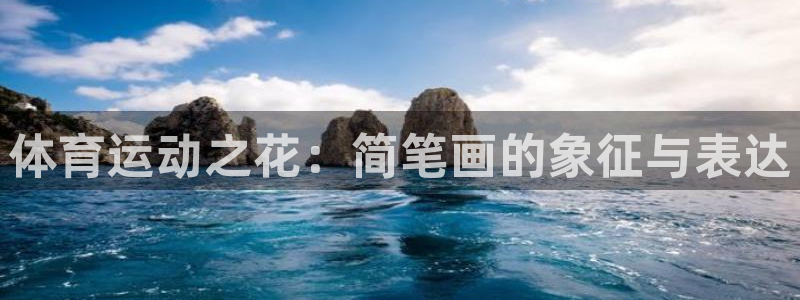 体育运动之花：简笔画的象征与表达