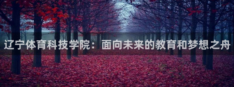 辽宁体育科技学院：面向未来的教育和梦想之舟