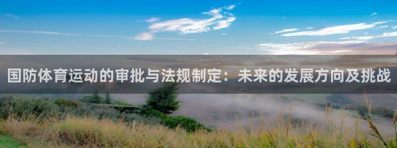 国防体育运动的审批与法规制定：未来的发展方向及挑战