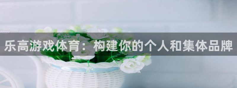 乐高游戏体育：构建你的个人和集体品牌