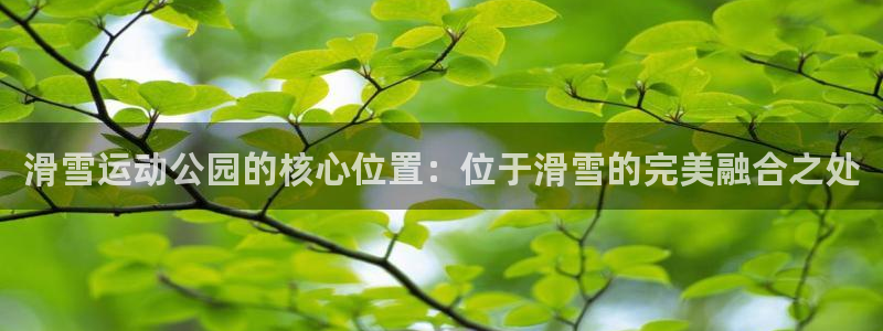 滑雪运动公园的核心位置：位于滑雪的完美融合之处