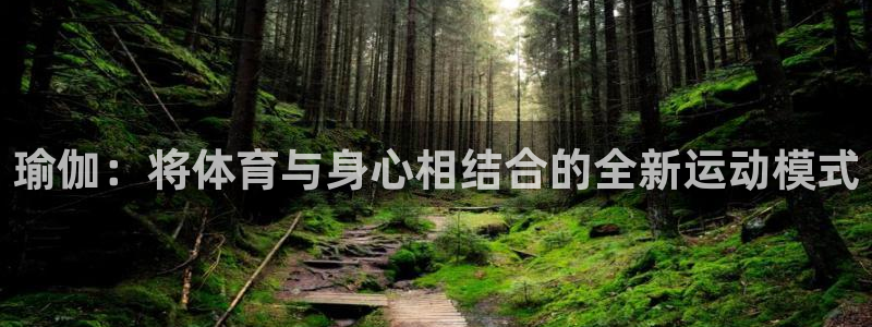 瑜伽：将体育与身心相结合的全新运动模式