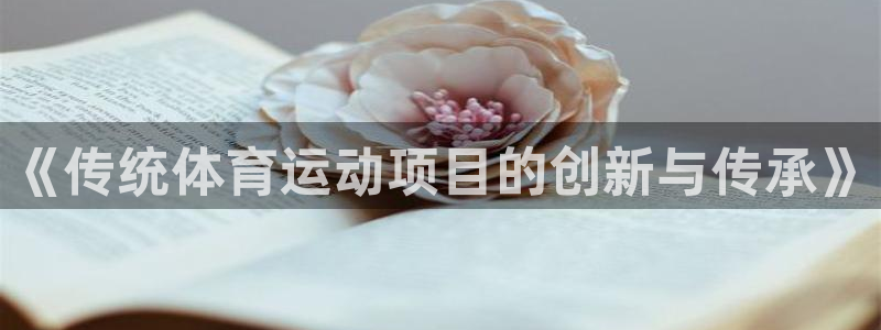 《传统体育运动项目的创新与传承》