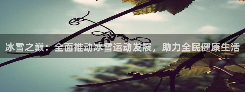 冰雪之巅：全面推动冰雪运动发展，助力全民健康生活